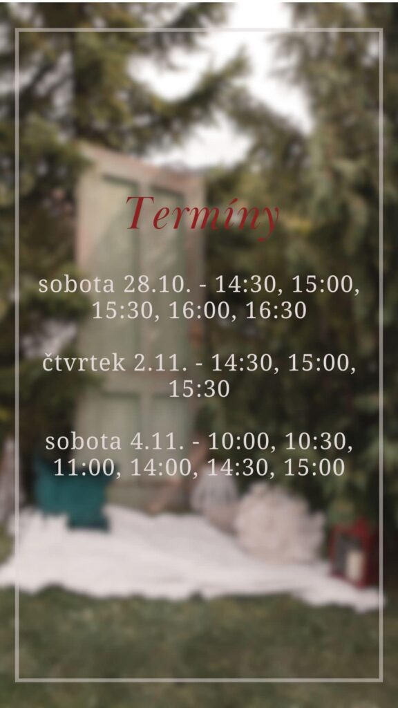 vanocni foceni terminy 2
